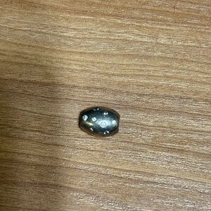 Pandora Cowrie Shell Charm